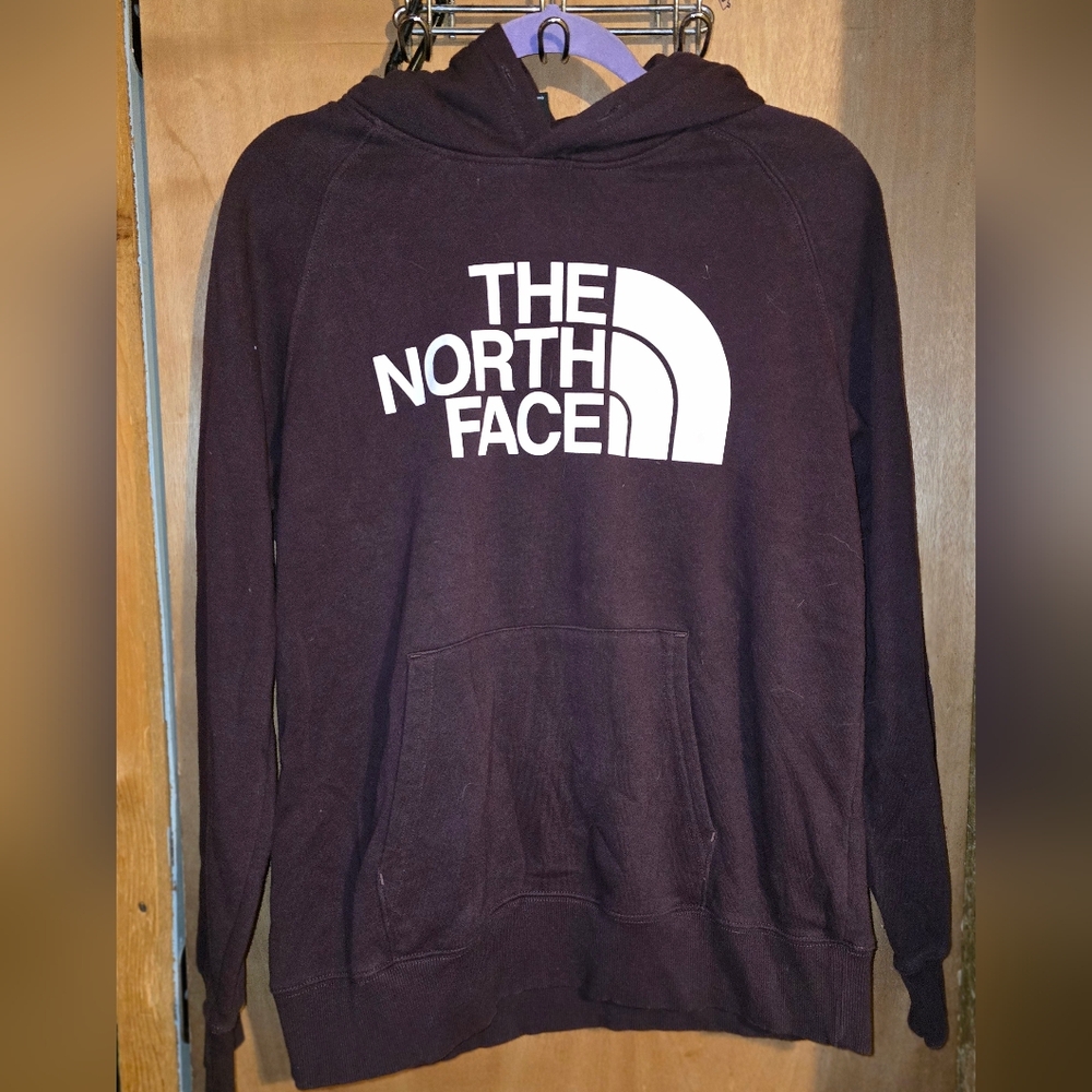 The North Face Women's brown Hoodie